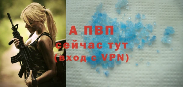 крисы Абаза