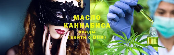 крисы Абаза