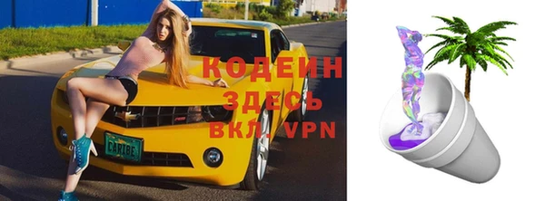 крисы Абаза