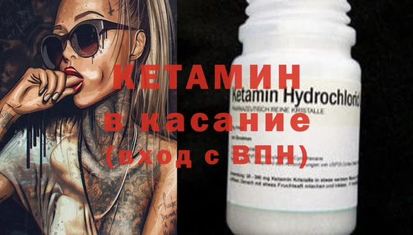 крисы Абаза