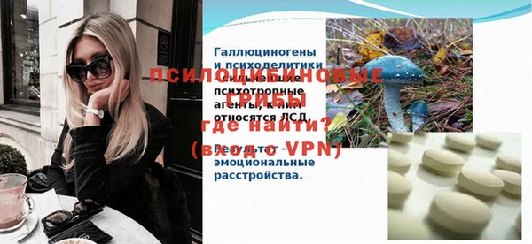 крисы Абаза