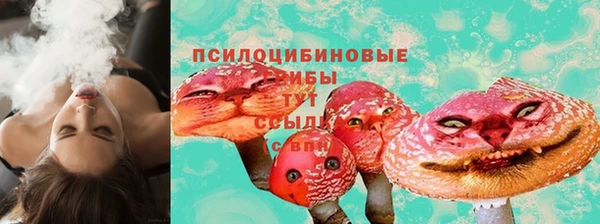 крисы Абаза