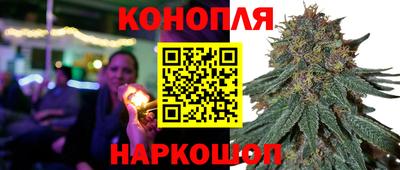 ALPHA PVP Ставрополь