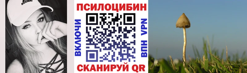 Псилоцибиновые грибы прущие грибы Усолье-Сибирское
